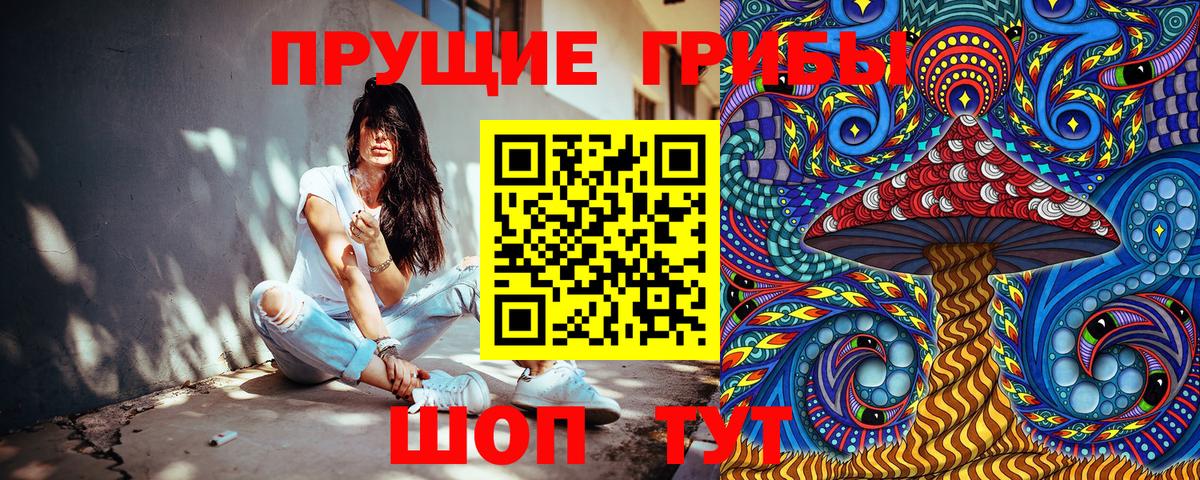 Псилоцибиновые грибы Psilocybe  Вход с VPN  где продают   Тулун  Псилоцибиновые грибы Psilocybine cubensis 